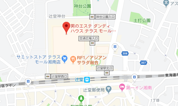 ダンディハウステラスモール湘南＿MAP